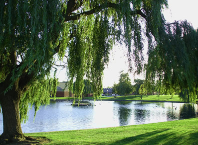 Park in downtown Fairfield CA